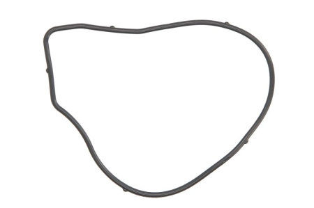 Garnituri - Garnitura pompa apa potrivita ALFA ROMEO 159, BRERA, SPIDER; CADILLAC BLS; CHEVROLET ALERO, CAPTIVA, COBALT, EQUINOX, HHR, MALIBU, VECTRA; FIAT CROMA; OPEL ANTARA A, ASTRA G 1.9-2.4 dupa 2000