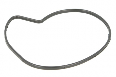Garnituri - Garnitura pompa apa potrivita BMW 1 (E81), 1 (E82), 1 (E87), 1 (E88), 3 (E46), 3 (E90), 3 (E91), 3 (E92), 5 (E60), X1 (E84), X3 (E83), Z4 (E85) 1.6/1.8/2.0 2000-2015