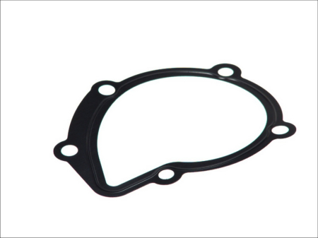Garnituri - Garnitura pompa apa potrivita CITROEN BERLINGO, BERLINGO/MINIVAN, BX, C15, C15/MINIVAN, C25, C4 I, C5 I, C5 I/KOMBI, C8, EVASION, JUMPER I, JUMPY I, VISA, XANTIA 1.6-2.0LPG dupa 1982