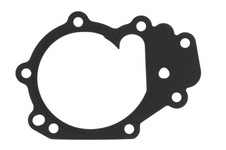 Garnituri - Garnitura pompa apa potrivita DACIA LOGAN, LOGAN II, LOGAN MCV II, SANDERO, SANDERO II; NISSAN KUBISTAR; RENAULT CLIO II, CLIO II/HATCHBACK, CLIO III, CLIO III/HATCHBACK, CLIO IV 1.0-1.2LPG dupa 1996