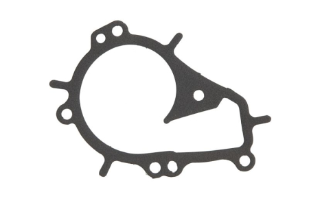 Garnituri - Garnitura pompa apa potrivita DS DS 3, DS 4, DS 4 II; CITROEN BERLINGO, BERLINGO MULTISPACE, BERLINGO/MINIVAN, C1 II, C3 AIRCROSS I, C3 AIRCROSS II, C3 II, C3 III 1.0/1.2/1.2LPG dupa 2012
