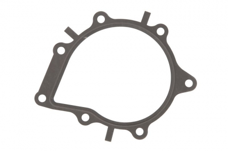 Garnituri - Garnitura pompa apa potrivita DS DS 4, DS 5, DS 7; CITROEN C4 GRAND PICASSO II, C4 II, C4 PICASSO II, C4 SPACETOURER, C5 AIRCROSS, C5 III, DS4, DS5, GRAND C4 SPACETOURER, JUMPER II 2.0D/2.2D dupa 2009