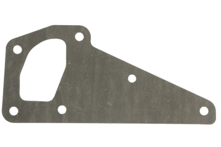 Garnituri - Garnitura pompa apa potrivita FENDT, CASE IH 130, 1135, 1145, 1155, 1170, 1190, 1195, 120, 150, 170; NEW HOLLAND T7510, T7520, T7530, T7540, T7550, 135, 145, 155, 170, 190, 195