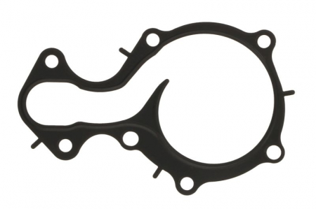 Garnituri - Garnitura pompa apa potrivit FORD B-MAX, C-MAX II, ECOSPORT, FIESTA VI, FIESTA VII, FOCUS III, FOCUS III/HATCHBACK, FOCUS III/KOMBI, FOCUS IV, GRAND C-MAX, MONDEO V 1.0-1.1LPG 02.12-
