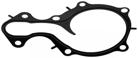 Garnitura pompa apa potrivita FORD B-MAX, C-MAX II, ECOSPORT, FIESTA VI, FIESTA VII, FOCUS III, FOCUS III/HATCHBACK, FOCUS III/KOMBI, GRAND C-MAX, MONDEO V, PUMA 1.0-1.1LPG dupa 2012 [1]