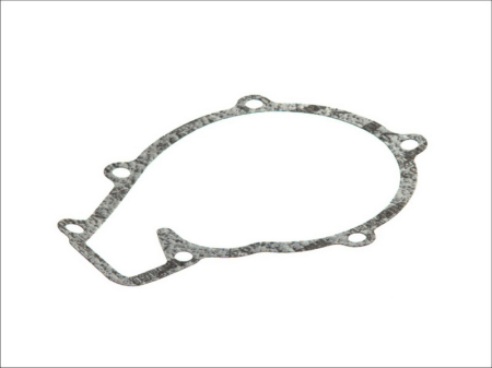 Garnituri - Garnitura pompa apa potrivita MAN CLA, EL, EM, FOC, G90, HOCL, L2000, LION'S CITY, M 2000 L, M 2000 M, M90, NG, NL, NM, NÜ, SL II, SM, SÜ, TGA, TGL I, TGM I D0824FL01-D0836LUH51 dupa 1987