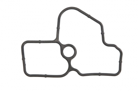 Garnituri - Garnitura pompa apa potrivita NISSAN JUKE, PULSAR, QASHQAI I, QASHQAI II, SENTRA VI, TIIDA, X-TRAIL II, X-TRAIL III; RENAULT CLIO III, CLIO IV, ESPACE V, FLUENCE, GRAND SCENIC III 1.6-2.0ALK dupa 2006