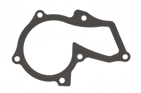 Garnituri - Garnitura pompa apa potrivita VOLVO S60 II, S80 II, V40, V60 I, V70 III; FORD B-MAX, C-MAX II, FIESTA, FIESTA VI, FOCUS III, FOCUS III/HATCHBACK, FOCUS III/KOMBI, GALAXY II, GALAXY III 1.25-1.6ALK dup