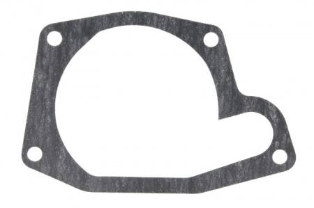 Garnituri - Garnitura pompa de apa potrivit CLAAS COLUMBUS, COMET; MASSEY FERGUSON 130, 133, MF 25, MF 30, MF 31, 825