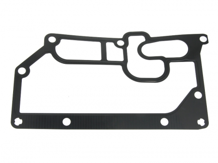 Garnituri - Garnitura radiator ulei potrivita RVI MIDLUM, PREMIUM 2; VOLVO 8700, 8900, B6, B7, FE, FE II, FL II, FL III, ABG; MAZ 200; FENDT 900; DEUTZ FAHR AGROTRON X D0826LE522-TCD2013L64V