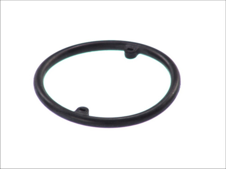 Garnituri - Garnitura radiator ulei potrivita VOLVO V70 I; AUDI 100 C4, 80 B2, 80 B3, 80 B4, 90 B3, A2, A3, A4 B5, A4 B6, A4 B7, A6 C4, A6 C5, A8 D2, CABRIOLET B3, COUPE B3, TT 1.4-2.9 1980-2013
