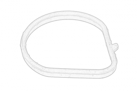 Garnituri - Garnitura/Simering carcasa termostat potrivit NISSAN NV400; OPEL MOVANO B; RENAULT ALASKAN, GRAND SCENIC III, KOLEOS II, MASTER III, MEGANE, MEGANE III, SCENIC III, TRAFIC II 2.0D/2.3D 08.06-