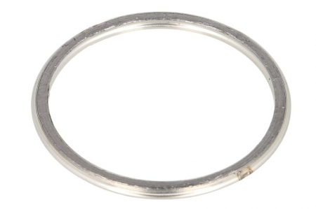 Garnituri - Garnitura sistem evacuare (diametru interior:54mm) potrivit INFINITI Q70, QX56, QX80; NISSAN JUKE, MURANO II, MURANO III, NAVARA NP300, NV200, NV200 / EVALIA 1.2-5.6 06.97-