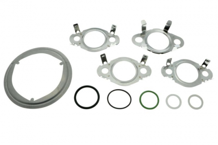 Garnitura supapa EGR (10 buc.; set) AUDI A3, Q3, TT; SEAT ALHAMBRA, ALTEA, ALTEA XL, IBIZA IV, IBIZA IV ST, LEON; SKODA OCTAVIA II, SUPERB II, YETI; VW BEETLE, CADDY ALLTRACK 1.4D/1.6D/2.0D dupa 2003 [1]