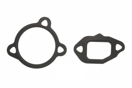 EGR - Garnitura supapa EGR (2 buc.; set) ALFA ROMEO MITO; FIAT DOBLO, DOBLO CARGO, GRANDE PUNTO, IDEA, LINEA, PUNTO EVO, STRADA; LANCIA MUSA, YPSILON; OPEL ASTRA H, ASTRA H GTC, CORSA D 1.3D dupa 2005