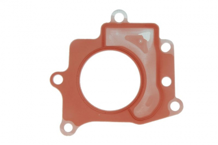 EGR - Garnitura supapa EGR ALFA ROMEO GIULIETTA; CHRYSLER DELTA; FIAT BRAVO II, DOBLO, DUCATO, FREEMONT; LANCIA DELTA III; OPEL COMBO 1.6D/1.9D/2.0D dupa 2007