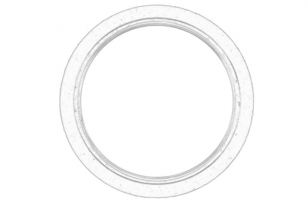 Garnituri - Garnitura Supapa EGR potrivit DAF XF 105; XF 106