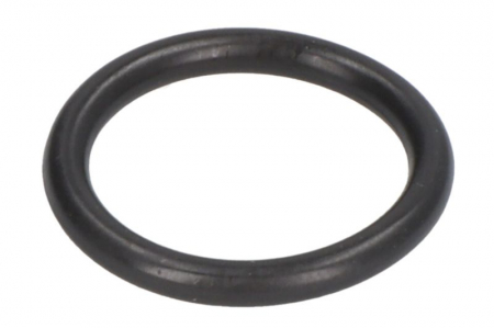 Piese Auto - Garnitura Supapa EGR potrivit IVECO