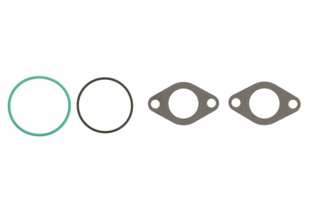 Garnitura Supapa EGR (set) potrivit AUDI A3, A4 B6, A4 B7, A6 C5; CHRYSLER SEBRING; DODGE AVENGER, CALIBER; JEEP COMPASS, PATRIOT; MITSUBISHI LANCER VIII; SEAT ALHAMBRA, ALTEA 1.9D/2.0D 12.98- [0]