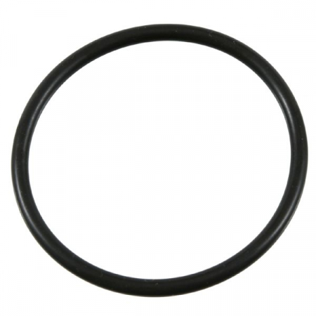 Garnituri - Garnitura termostat (60mmx4mm) potrivit MAN E2000, EL, EM, F2000, F8, F90, F90 UNTERFLUR, FOC, G, G90, HOCL, L2000, LION´S CITY, LION´S CLASSIC, LION´S COACH, LION´S REGIO 376.923-OM942.911 01.70-