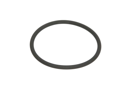 Garnituri - Garnitura termostat (inel O) potrivit IVECO EUROTECH MH, STRALIS I, TRAKKER I F2BE0641-F2BE3681C 09.98-