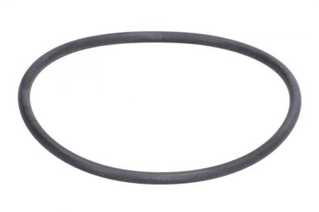 Garnituri - Garnitura termostat potrivita BMW 1 (E81), 1 (E82), 1 (E87), 1 (E88), 3 (E90), 3 (E91), 3 (E92), 3 (E93), 5 (E60), 5 (E61); BUICK ENCLAVE, LA CROSSE; CADILLAC ATS, CTS 1.6-3.6ALK dupa 2004 (o-ring)