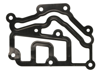 Garnituri - Garnitura termostat potrivit DACIA DUSTER, DUSTER/SUV, LOGAN, LOGAN II, LOGAN MCV, SANDERO; LADA LARGUS; NISSAN KUBISTAR, PRIMASTAR, TERRANO; OPEL VIVARO A 1.4-2.0 09.95-