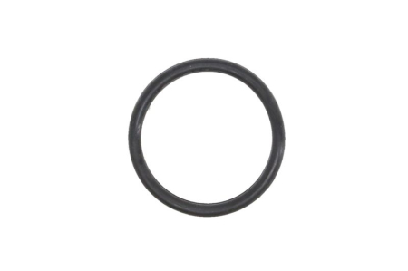 Garnituri - Garnitura termostat potrivit DAEWOO ESPERO, LANOS, NEXIA, NUBIRA 1.3/1.5/1.6 10.93-