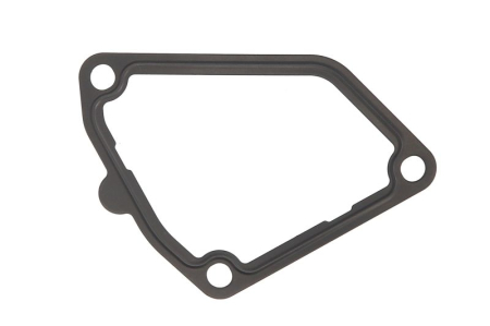 Garnituri - Garnitura termostat potrivit INFINITI EX, FX, G, I35, JX, M, M35, M37, Q50, Q60, Q70, QX4, QX50 I, QX60, QX70; NISSAN 350Z, 370Z, ALTIMA, ELGRAND 2.0-3.7 02.95-