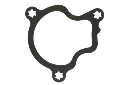 Garnituri - Garnitura termostat potrivit JEEP WRANGLER IV 2.0 11.17-