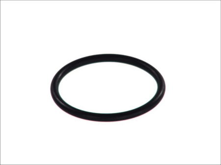 Garnituri - Garnitura termostat potrivit OPEL ASCONA C, ASTRA F, ASTRA F/KOMBI, ASTRA G, ASTRA G/KOMBI, CALIBRA A, FRONTERA A SPORT, KADETT E, KADETT E COMBO 1.6-2.0 09.81-04.05