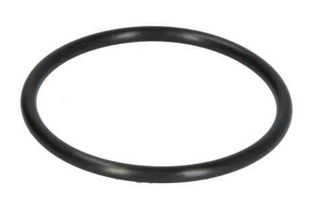 Motor - Garnitura termostat racire potrivita MAN CLA, E2000, EL, EM, F2000, F90, F90 UNTERFLUR, FOC, G, G90, HELICON, HOCL, L2000, LION'S CITY, LION'S COACH 925.972-TCD2013L064V (60mmx4mm)