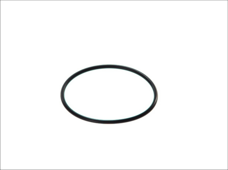 Motor - Garnitura termostat racire potrivita DAF 65, 75, 85, F 1000, F 1100, F 1300, F 1500, F 1700, F 1900, F 2100, F 2300, F 2500, F 2800, F 3300, F 3600 CB108-WS295M dupa 1974 (65mmx3mm, inel O)