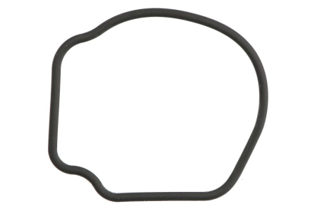 Garnituri - Garnitura termostat racire potrivita CHEVROLET AVEO; CITROEN NEMO, NEMO/MINIVAN; FIAT 500, 500 C, DOBLO, DOBLO/MINIVAN, FIORINO, FIORINO/MINIVAN, GRANDE PUNTO, IDEA, PALIO 1.3D dupa 2003