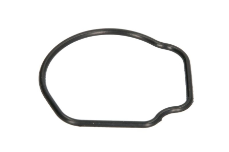 Garnituri - Garnitura termostat racire potrivita CHEVROLET AVEO; CITROEN NEMO, NEMO/MINIVAN; FIAT 500, 500 C, DOBLO, DOBLO/MINIVAN, GRANDE PUNTO, IDEA, PALIO, PANDA 1.3D/2.0 dupa 2003