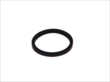Garnituri - Garnitura termostat racire potrivita CHEVROLET CORSA; OPEL ASCONA B, ASCONA C, ASTRA F, ASTRA F CLASSIC, ASTRA F/KOMBI, ASTRA G, ASTRA G/KOMBI, COMBO/MINIVAN 1.2-1.6LPG 1979-2005