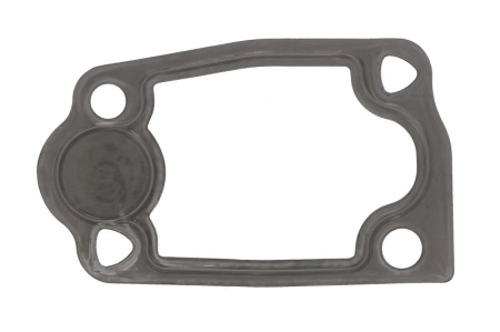 Garnituri - Garnitura termostat racire potrivita IVECO DAILY III, DAILY IV, DAILY V, DAILY VI, MASSIF, POWER DAILY; CITROEN JUMPER II; FIAT DUCATO; PEUGEOT BOXER; MULTICAR FUMO, M31 3.0D dupa 1999