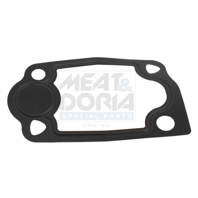 Garnituri - Garnitura termostat racire potrivita IVECO DAILY IV, DAILY V, DAILY VI; CITROEN JUMPER II; FIAT DUCATO; PEUGEOT BOXER 3.0CNG/3.0D dupa 2006