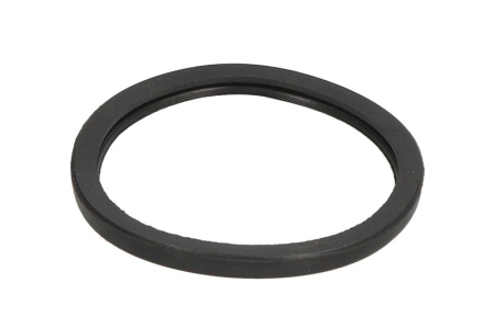 Garnituri - Garnitura termostat racire potrivita IVECO ZETA, DAILY I, DAILY II, DAILY III; VOLVO B10, F10, F12, F7, N10; RVI B, MASCOTT, MESSENGER; ALFA ROMEO AR 8 8040.04.200-THD100EA dupa 1973