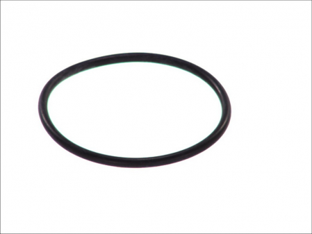 Garnituri - Garnitura termostat racire potrivita MERCEDES 123 T-MODEL (S123), 123 (W123), 124 (W124), /8 (W115), C T-MODEL (S202), C (W202), C (W203), E (W124), G (W460) 1.8-6.0 1968-2009