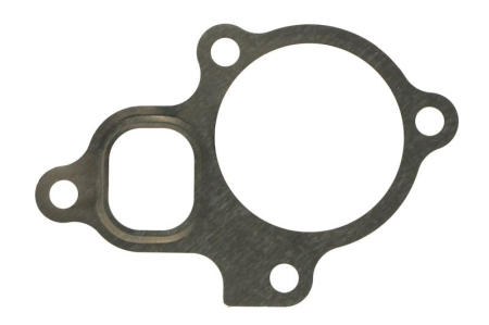 Garnituri - Garnitura termostat racire potrivita NISSAN ROGUE, X-TRAIL I, X-TRAIL II; RENAULT KOLEOS I, KOLEOS II 2.0/2.5 dupa 2001