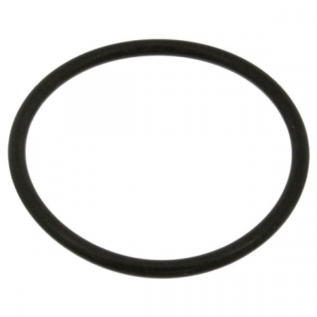 Garnituri - Garnitura termostat racire potrivita SEAT CORDOBA, CORDOBA VARIO, IBIZA II; VW GOLF II, GOLF III, JETTA II, POLO, POLO II 1.0-2.0 1981-2002
