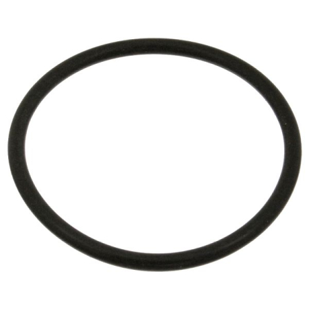 Garnituri - Garnitura termostat racire potrivita SEAT CORDOBA, CORDOBA VARIO, IBIZA II; VW GOLF II, GOLF III, JETTA II, POLO, POLO II 1.0-2.0 1981-2002