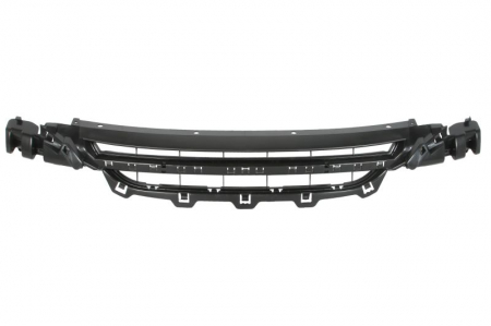 Grile - Grila bara fata mijloc BMW Seria 1 (F20), 1 (F21) intre 2010-2015