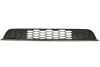 Grila bara fata plastic, negru, potrivit FORD USA MUSTANG 2004-2012 [1]
