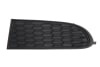 Grila bara fata stanga (plastic, negru) DODGE JOURNEY 2008-2010 [1]