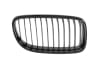 Grila fata dreapta BMW Seria 3 intre 2008-2012 [1]