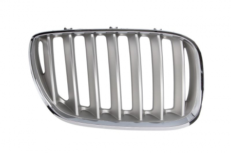 Grile - Grila fata dreapta titanium BMW X5 E53 intre 2003-2006