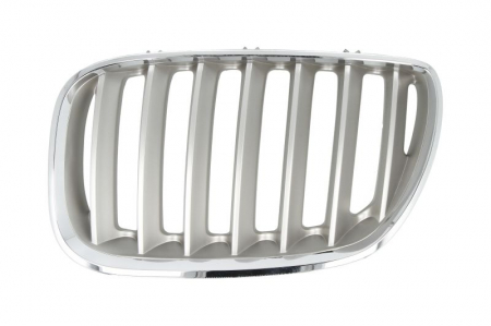 Grile - Grila fata stanga titanium BMW X5 E53 intre 2003-2006