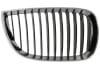 Grila radiator BMW Seria 1 (E81) 2003-2007 [1]